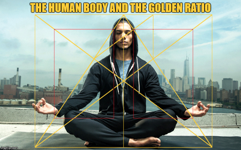 THE HUMAN BODY AND THE GOLDEN RATIO | made w/ Imgflip meme maker