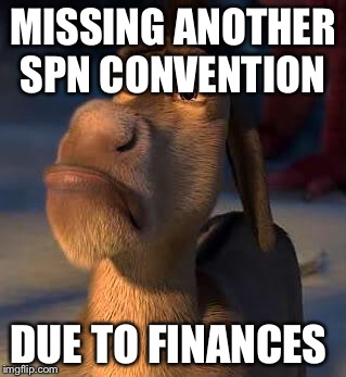 sad donkey | MISSING ANOTHER SPN CONVENTION; DUE TO FINANCES | image tagged in sad donkey | made w/ Imgflip meme maker