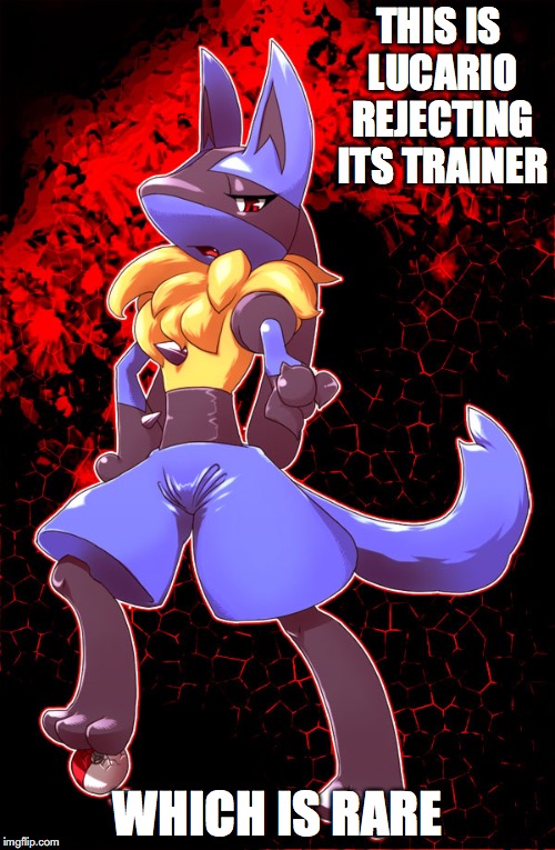 Lucario Rejecting Its Trainer | THIS IS LUCARIO REJECTING ITS TRAINER; WHICH IS RARE | image tagged in lucario,pokemon,memes | made w/ Imgflip meme maker