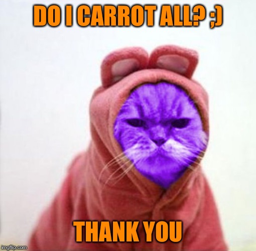 Sullen RayCat | DO I CARROT ALL? ;) THANK YOU | image tagged in sullen raycat | made w/ Imgflip meme maker