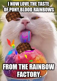 snowcone cat | I NOW LOVE THE TASTE OF PONY BLOOD RAINBOWS; FROM THE RAINBOW FACTORY. | image tagged in snowcone cat,scumbag | made w/ Imgflip meme maker