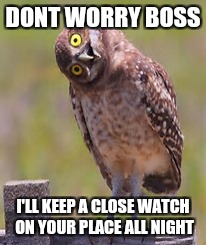 Who me | DONT WORRY BOSS; I'LL KEEP A CLOSE WATCH ON YOUR PLACE ALL NIGHT | image tagged in who me | made w/ Imgflip meme maker