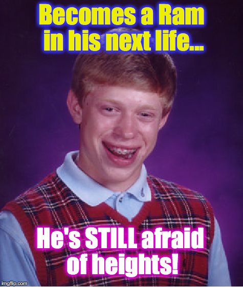 Bad Luck Brian Meme | Becomes a Ram in his next life... He's STILL afraid of heights! | image tagged in memes,bad luck brian | made w/ Imgflip meme maker