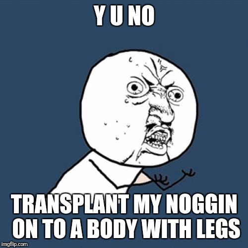 Y U No Meme | Y U NO TRANSPLANT MY NOGGIN ON TO A BODY WITH LEGS | image tagged in memes,y u no | made w/ Imgflip meme maker