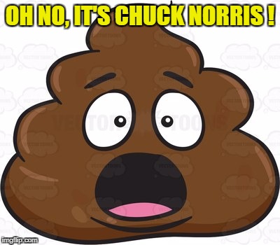 OH NO, IT'S CHUCK NORRIS ! | made w/ Imgflip meme maker