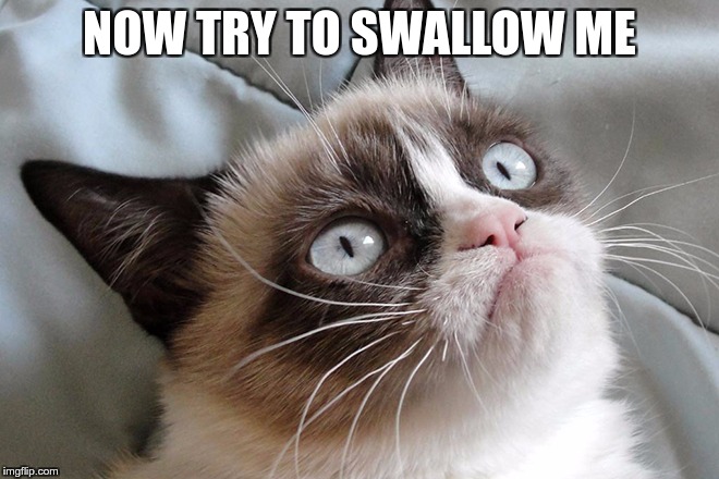 NOW TRY TO SWALLOW ME | image tagged in memes | made w/ Imgflip meme maker