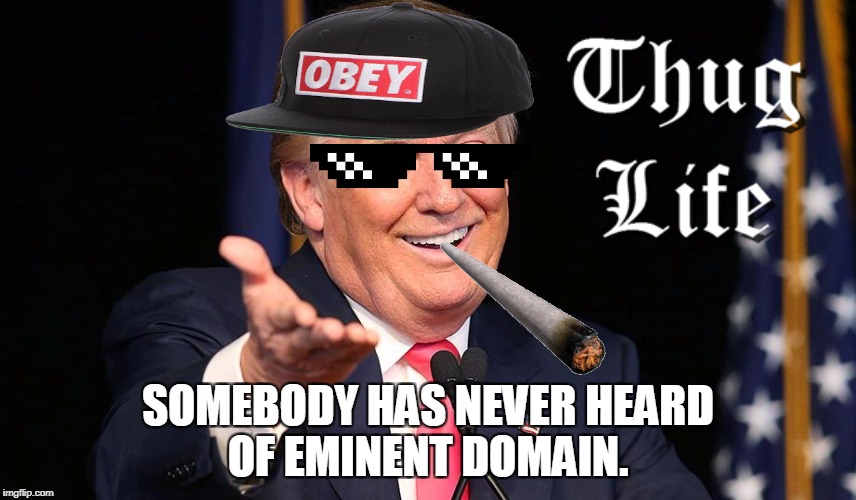 The Left believes big government can solve any problem and think a company buying and selling land can stop big government?  | SOMEBODY HAS NEVER HEARD OF EMINENT DOMAIN. | image tagged in thug life,trump,cards against humanity,trump's wall,big government | made w/ Imgflip meme maker