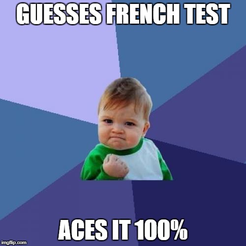 Success Kid Meme | GUESSES FRENCH TEST; ACES IT 100% | image tagged in memes,success kid | made w/ Imgflip meme maker
