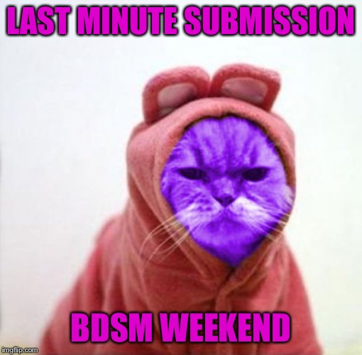 Sullen RayCat | LAST MINUTE SUBMISSION; BDSM WEEKEND | image tagged in sullen raycat,nsfw weekend,memes | made w/ Imgflip meme maker