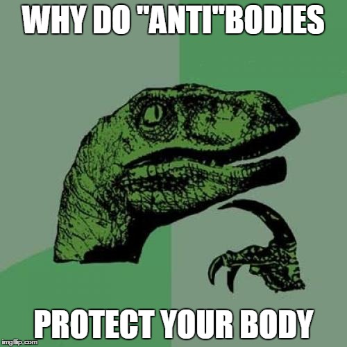 Philosoraptor | WHY DO "ANTI"BODIES; PROTECT YOUR BODY | image tagged in memes,philosoraptor | made w/ Imgflip meme maker