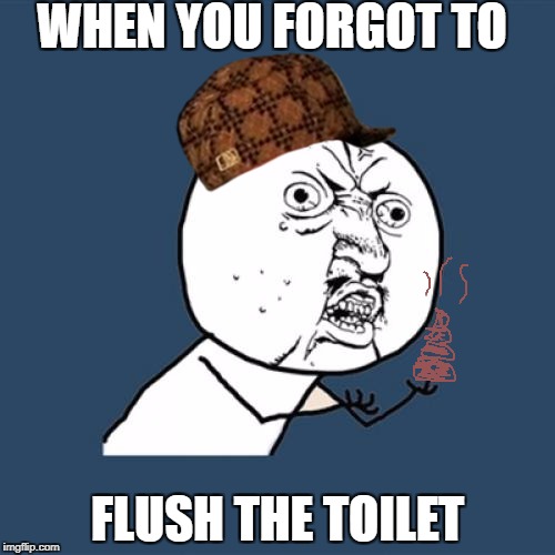 Y U No Meme | WHEN YOU FORGOT TO; FLUSH THE TOILET | image tagged in memes,y u no,scumbag | made w/ Imgflip meme maker