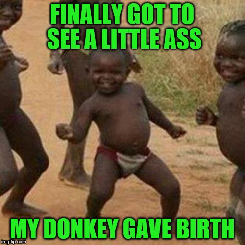 Third World Success Kid Meme | FINALLY GOT TO SEE A LITTLE ASS MY DONKEY GAVE BIRTH | image tagged in memes,third world success kid | made w/ Imgflip meme maker