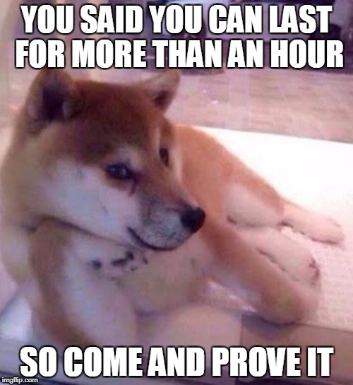 When you finally get the chance to unleash the beast in you. | YOU SAID YOU CAN LAST FOR MORE THAN AN HOUR; SO COME AND PROVE IT | image tagged in sexy doggo | made w/ Imgflip meme maker