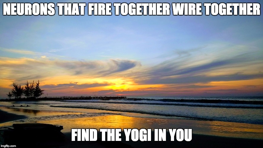NEURONS THAT FIRE TOGETHER
WIRE TOGETHER; FIND THE YOGI IN YOU | image tagged in raquel in brunei | made w/ Imgflip meme maker