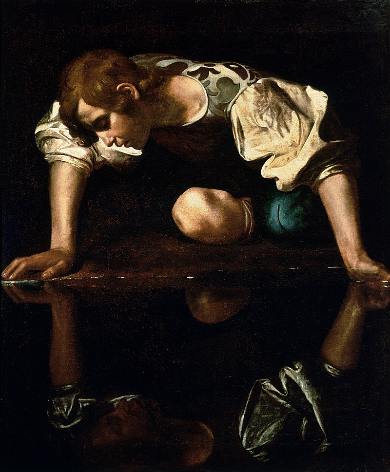 High Quality Narcissus Blank Meme Template