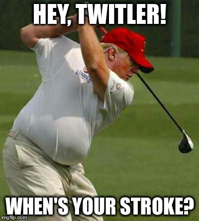 HEY, TWITLER! WHEN'S YOUR STROKE? | image tagged in twitler's stroke | made w/ Imgflip meme maker