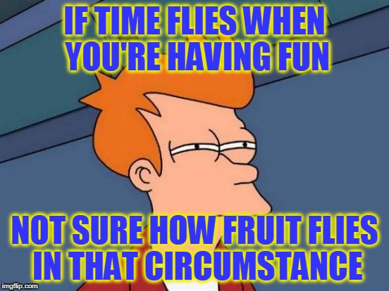 Futurama Fry Meme | IF TIME FLIES WHEN YOU'RE HAVING FUN NOT SURE HOW FRUIT FLIES IN THAT CIRCUMSTANCE | image tagged in memes,futurama fry | made w/ Imgflip meme maker