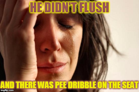 First World Problems Meme | HE DIDN'T FLUSH AND THERE WAS PEE DRIBBLE ON THE SEAT | image tagged in memes,first world problems | made w/ Imgflip meme maker