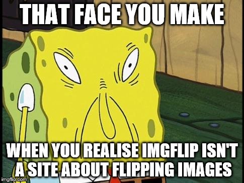 That face you make spongebob | THAT FACE YOU MAKE; WHEN YOU REALISE IMGFLIP ISN'T A SITE ABOUT FLIPPING IMAGES | image tagged in spongebob,that face you make | made w/ Imgflip meme maker