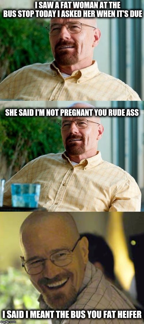 Breaking Bad Pun | I SAW A FAT WOMAN AT THE BUS STOP TODAY I ASKED HER WHEN IT'S DUE; SHE SAID I'M NOT PREGNANT YOU RUDE ASS; I SAID I MEANT THE BUS YOU FAT HEIFER | image tagged in breaking bad pun | made w/ Imgflip meme maker