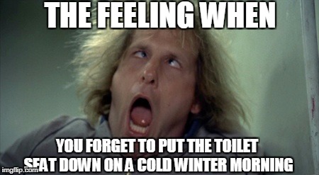 Scary Harry Meme | THE FEELING WHEN; YOU FORGET TO PUT THE TOILET SEAT DOWN ON A COLD WINTER MORNING | image tagged in memes,scary harry | made w/ Imgflip meme maker