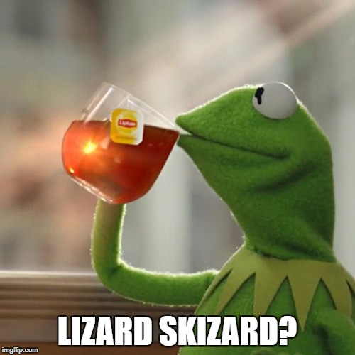 But That's None Of My Business Meme | LIZARD SKIZARD? | image tagged in memes,but thats none of my business,kermit the frog | made w/ Imgflip meme maker