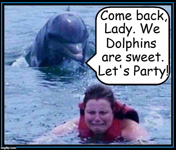 Extra-Species Dating Can Be Fun... for Some | Come back, Lady. We; Dolphins are sweet. Let's Party! | image tagged in mean dolphin,scary dolphin,vince vance,woman swimmer,terrified of dolphins,woman in life jacket | made w/ Imgflip meme maker