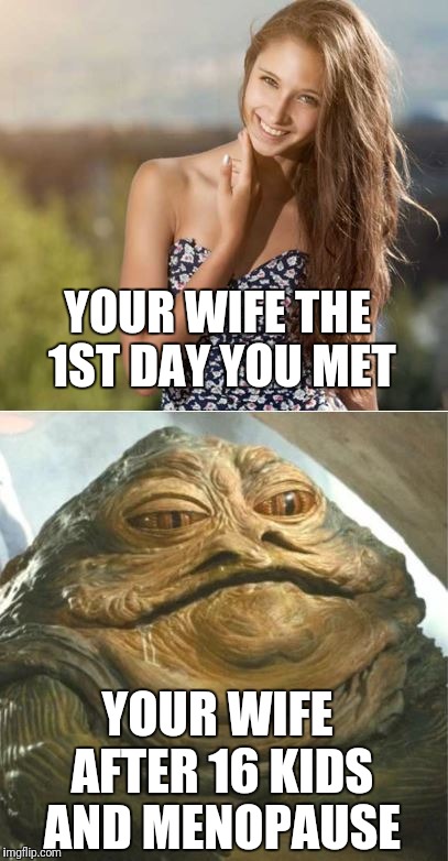 YOUR WIFE THE 1ST DAY YOU MET; YOUR WIFE AFTER 16 KIDS AND MENOPAUSE | image tagged in marriage | made w/ Imgflip meme maker
