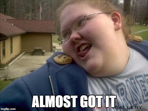 Fat Girls Be Like | ALMOST GOT IT | image tagged in fat girls be like | made w/ Imgflip meme maker