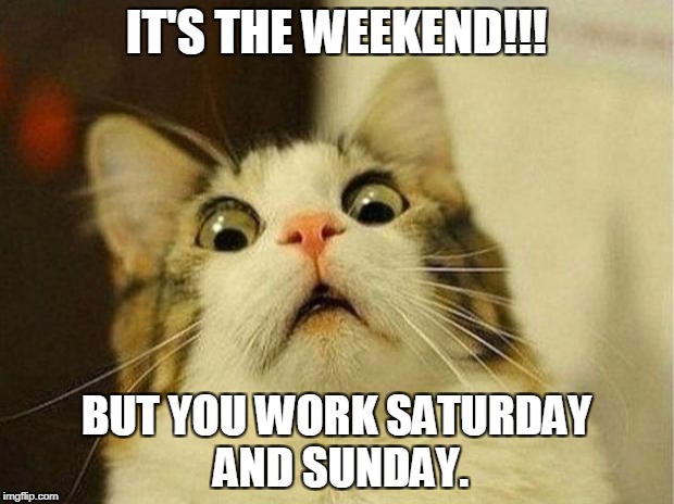 Scared Cat Meme | IT'S THE WEEKEND!!! BUT YOU WORK SATURDAY AND SUNDAY. | image tagged in memes,scared cat | made w/ Imgflip meme maker