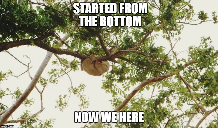 STARTED FROM THE BOTTOM; NOW WE HERE | image tagged in slothy o,memes,sloth,drake | made w/ Imgflip meme maker