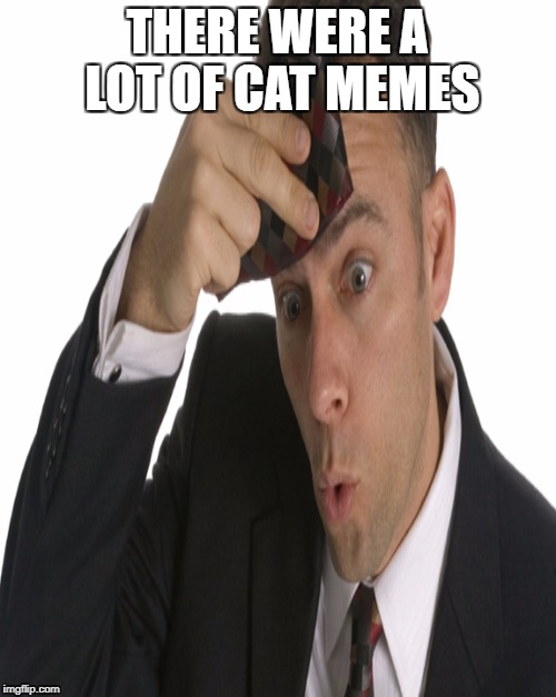 THERE WERE A LOT OF CAT MEMES | made w/ Imgflip meme maker