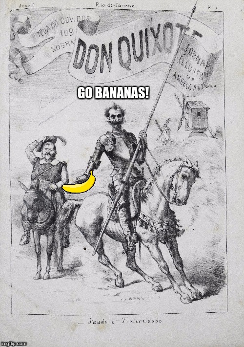 DQ | GO BANANAS! | image tagged in banana,adventure,idealism | made w/ Imgflip meme maker