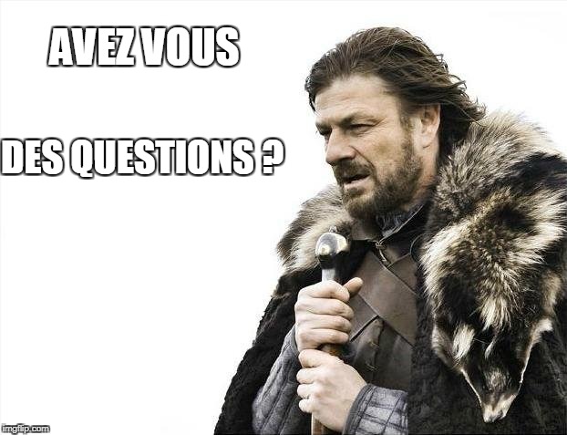 Brace Yourselves X is Coming | AVEZ VOUS; DES QUESTIONS ? | image tagged in memes,brace yourselves x is coming | made w/ Imgflip meme maker