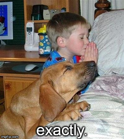 Praying Dog | exactly. | image tagged in meme,atheist,religion,dog,child,kid | made w/ Imgflip meme maker