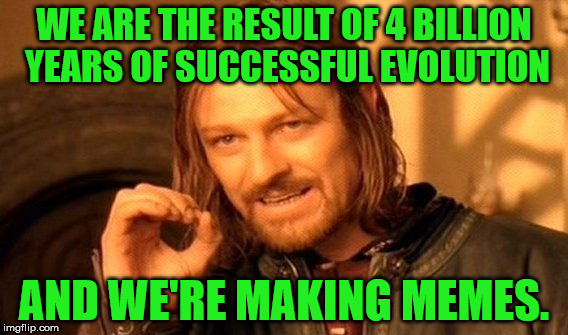 Point made. | WE ARE THE RESULT OF 4 BILLION YEARS OF SUCCESSFUL EVOLUTION; AND WE'RE MAKING MEMES. | image tagged in memes,one does not simply,4 billion years,evolution,successful,making memes | made w/ Imgflip meme maker
