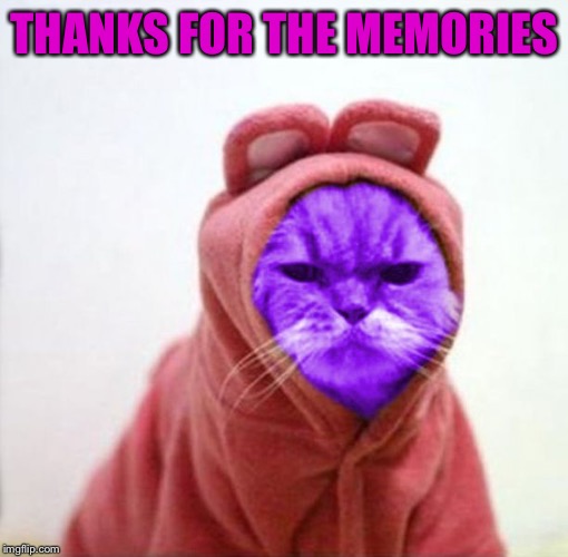 Sullen RayCat | THANKS FOR THE MEMORIES | image tagged in sullen raycat | made w/ Imgflip meme maker