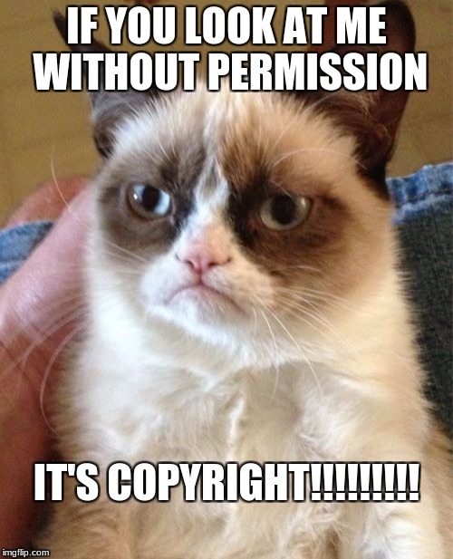 Grumpy Cat | IF YOU LOOK AT ME WITHOUT PERMISSION; IT'S COPYRIGHT!!!!!!!!! | image tagged in memes,grumpy cat | made w/ Imgflip meme maker