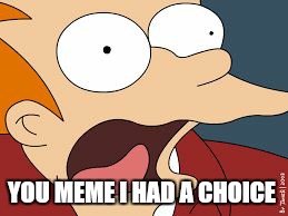 fry screaming  | YOU MEME I HAD A CHOICE | image tagged in fry screaming | made w/ Imgflip meme maker