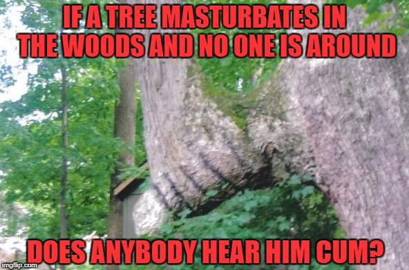 NSFW Weekend...A JBmemegeek & isayisay Event | IF A TREE MASTURBATES IN THE WOODS AND NO ONE IS AROUND; DOES ANYBODY HEAR HIM CUM? | image tagged in horny tree,memes,nsfw weekend,nsfw,milkin' the sap,tree fun | made w/ Imgflip meme maker