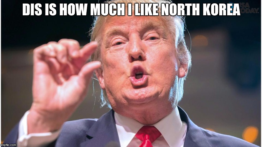 Donald Trump small brain | DIS IS HOW MUCH I LIKE NORTH KOREA | image tagged in donald trump small brain | made w/ Imgflip meme maker