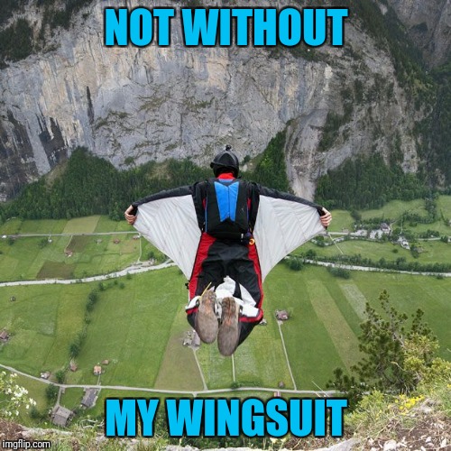 NOT WITHOUT MY WINGSUIT | made w/ Imgflip meme maker