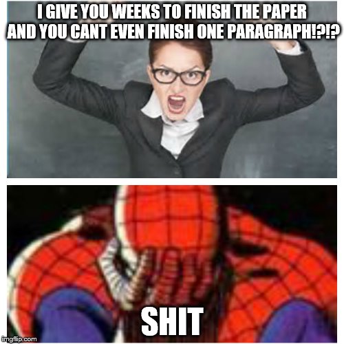 I GIVE YOU WEEKS TO FINISH THE PAPER AND YOU CANT EVEN FINISH ONE PARAGRAPH!?!? SHIT | image tagged in sad spiderman | made w/ Imgflip meme maker