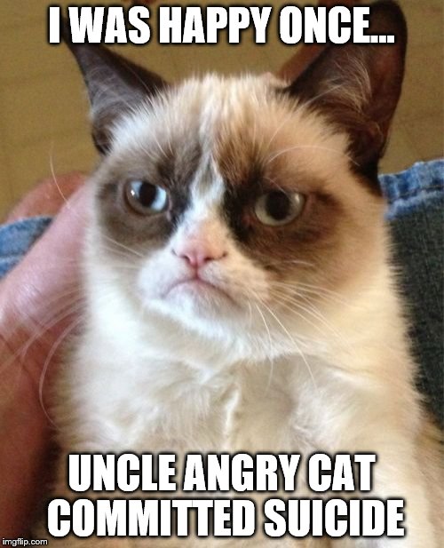 Grumpy Cat Meme | I WAS HAPPY ONCE... UNCLE ANGRY CAT COMMITTED SUICIDE | image tagged in memes,grumpy cat | made w/ Imgflip meme maker