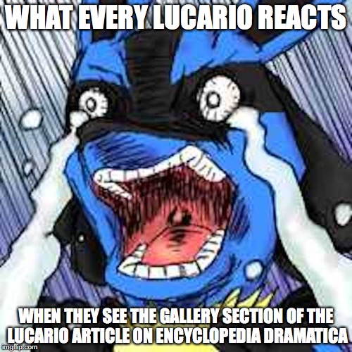 Lucario Reaction | WHAT EVERY LUCARIO REACTS; WHEN THEY SEE THE GALLERY SECTION OF THE LUCARIO ARTICLE ON ENCYCLOPEDIA DRAMATICA | image tagged in lucario,pokemon,memes,encyclopedia dramatica | made w/ Imgflip meme maker