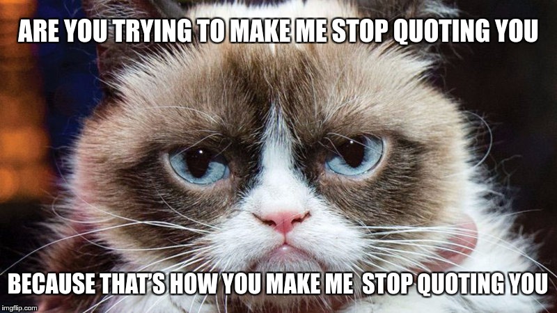 ARE YOU TRYING TO MAKE ME STOP QUOTING YOU; BECAUSE THAT’S HOW YOU MAKE ME  STOP QUOTING YOU | image tagged in memes | made w/ Imgflip meme maker