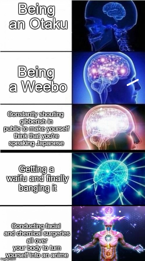 Levels of Weebo-ness | Being an Otaku; Being a Weebo; Constantly shouting gibberish in public to make yourself think that you're speaking Japanese; Getting a waifu and finally banging it; Conducting facial and chemical surgeries all over your body to turn yourself into an anime | image tagged in expanding brain meme,otaku,anime | made w/ Imgflip meme maker