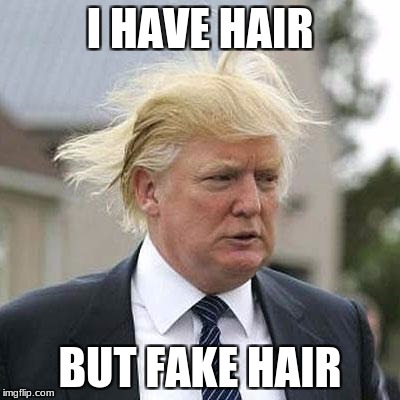 Donald Trump | I HAVE HAIR; BUT FAKE HAIR | image tagged in donald trump | made w/ Imgflip meme maker