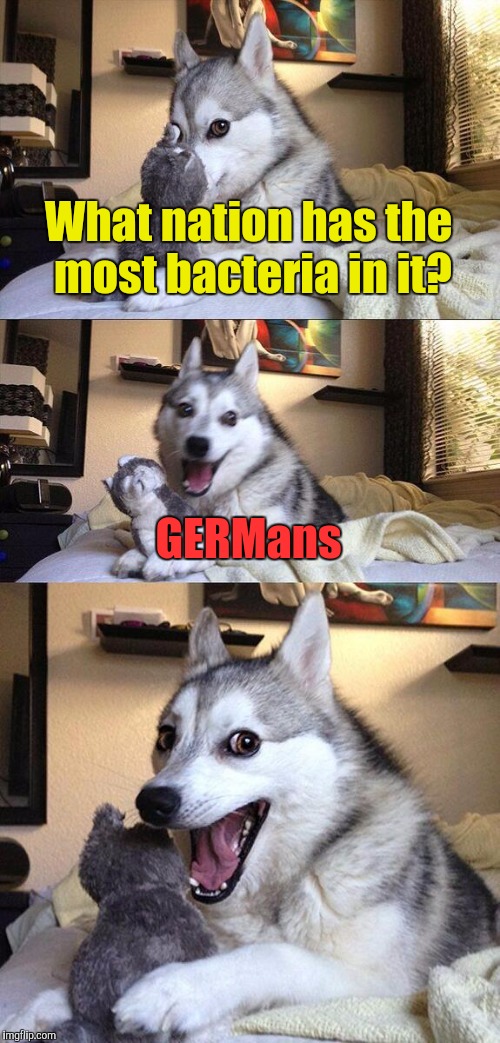 Germans might have a lot of germs,but they also have a lot of kick-ass metal bands(Accept,Blind Guardian,Gamma Ray,Helloween...) |  What nation has the most bacteria in it? GERMans | image tagged in memes,bad pun dog,powermetalhead,germs,germans,germany | made w/ Imgflip meme maker