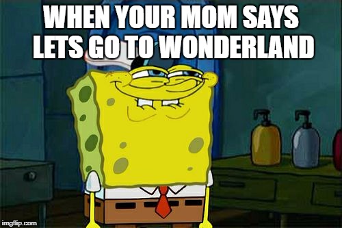 Don't You Squidward Meme | WHEN YOUR MOM SAYS LETS GO TO WONDERLAND | image tagged in memes,dont you squidward | made w/ Imgflip meme maker